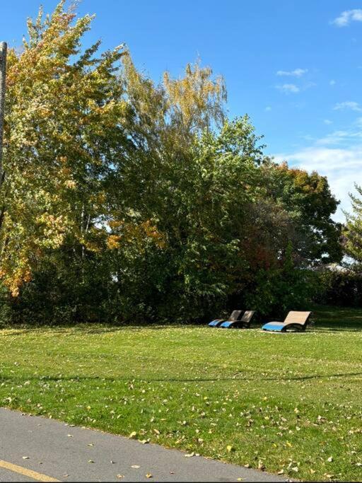 Cozy Spacious Work Friendly Lotus With Garden View High Speed Free Wi Fi And Parking Adjacent To Downtown Montréal Dış mekan fotoğraf